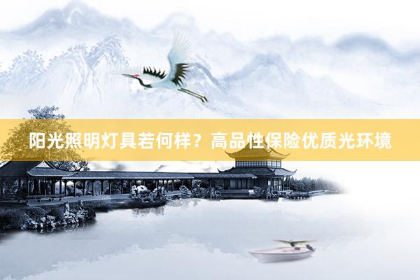 阳光照明灯具若何样？高品性保险优质光环境